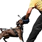 Dingo Gear Schutzarm Extern Mini Soft Weich aus Nylcot Blau Bissmanschette Hundeausbildung Hundetraining Bisstraining S01962