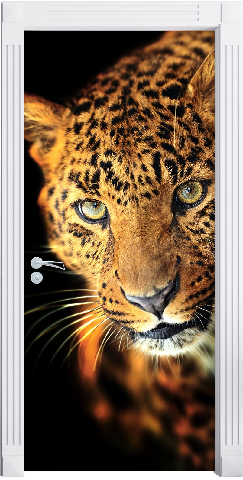 Stil.Zeit Möbel Anmutiger Leopard als Türtapete, Format: 200x90cm, Türbild, Türaufkleber, Tür Deko, Türsticker