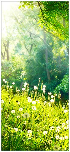 posterdepot Türtapete Türposter Pusteblumen im Wald mit einfallenden Sonnenstrahlen - Größe 93 x 205 cm, 1 Stück, ktt0546