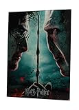 SD Toys Poster Harry Potter und Voldemort, mehrfarbig, 41 x 31 x 3 cm