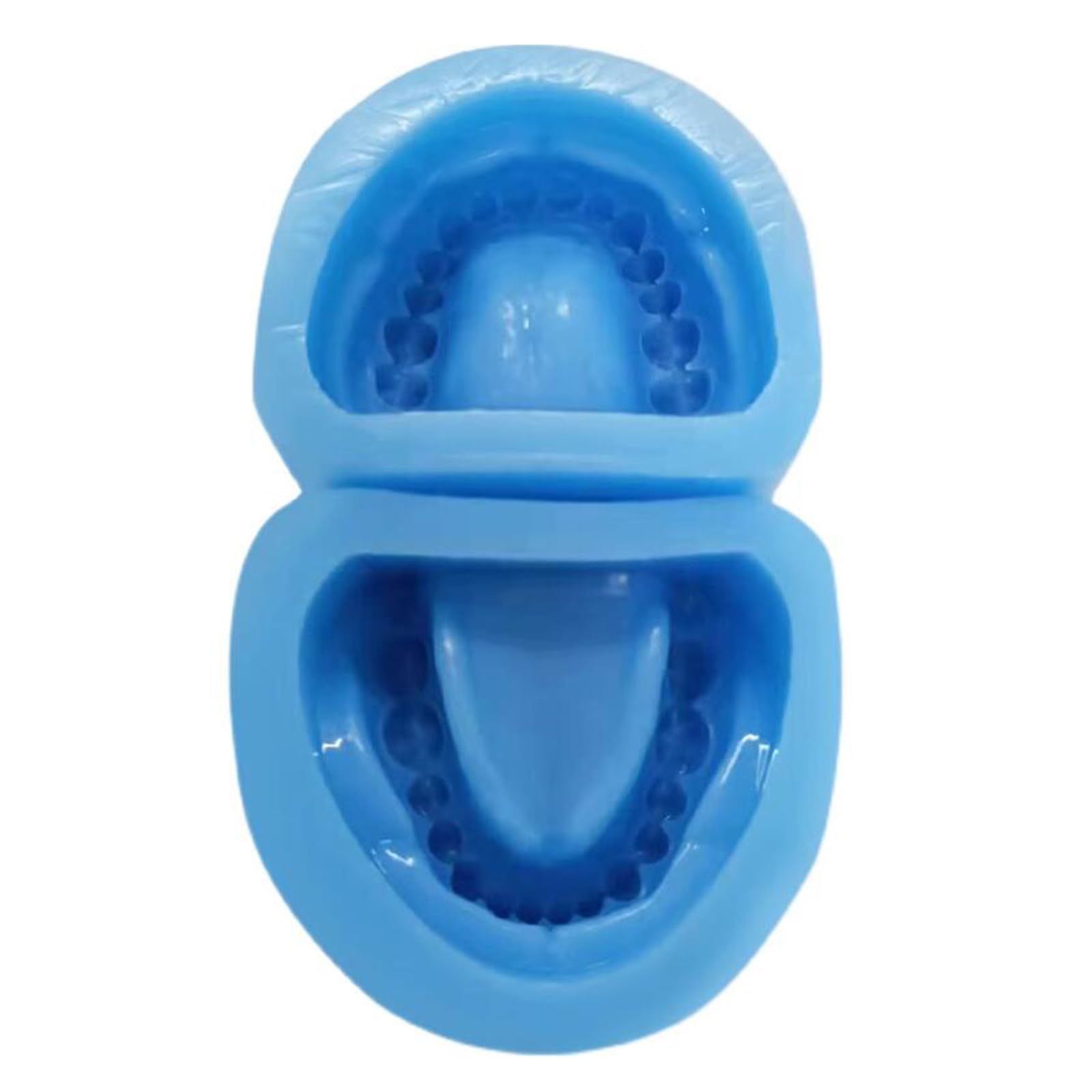 Dental Base Former Kit – Weiche Silikon Blau Prothesenform – Vollmund-Standard-Zahnersatz Silikon Ober- und Unterkiefer Universal Erwachsene Zahnmodell (volle Zähne)
