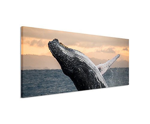 Unique Bild 120x40cm Tierbilder – Springender Buckelwal im Meer