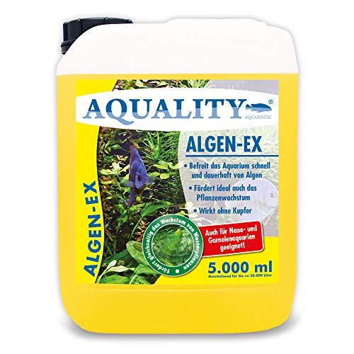 AQUALITY Aquarium Algen-EX (GRATIS Lieferung in DE - Erstklassiger Algenvernichter, Algenmittel, Algenentferner, Algenstopp - Befreit Fadenalgen, Bartalgen, Kieselalgen, Blau- + Schmieralgen), Inhalt:5 Liter