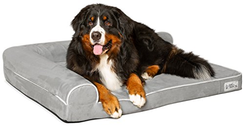 PetFusion BetterLounge Hundebett aus Memory-Schaum, mit wasserdichtem Innenfutter und abnehmbarem Bezug, Größe XL, 112 x 86 x 19 cm Ersatzbezüge und Decken sind ebenfalls erhältlich.