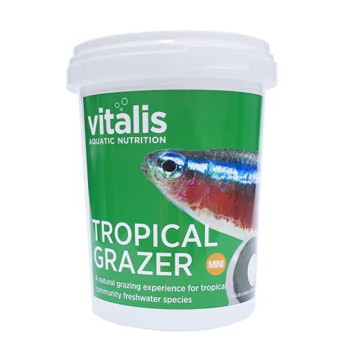 Vitalis Tropical Mini Grazers Fischfutter Aquarium Fischfutter Aquarium Grazers für Tropische Fischarten - hochverdaulich und ausgewogen - Vitamine und Mineralien (240g)