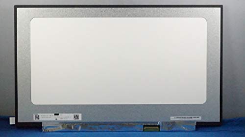 Replacement Screen for ASUS Zephyrus S GX701GX-EV016R ROG Zephyrus S GX701GX N173HCE-G33 Rev.C1 B173HAN04.0 17.3" FHD Display IPS LED LCD Panel NO Brackets 40 PIN eDP 144Hz Matte