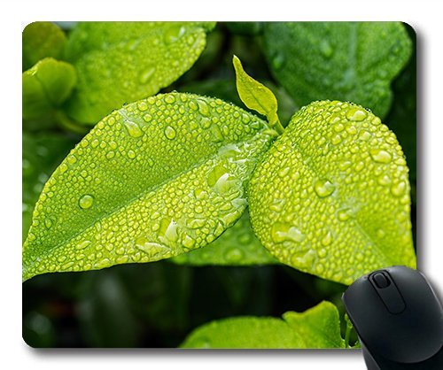 (Precision Lock Edge Mouse Pad) Leaf Green Foliage Green Leaves Green Leaf Nature Gaming Mouse Pad Mouse Mat for Mac or Computer