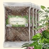OraGarden Alokasien Alocasia Erde für Zimmerpflanzen - Premium Qualität (12L)