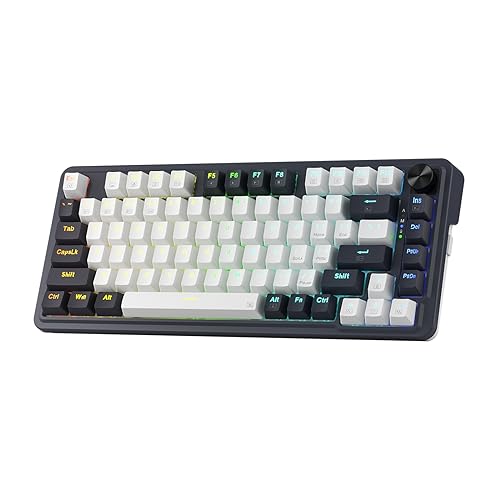 Redragon K673 Mechanische Tastatur, RGB, 2,4 GHz/BT/kabelgebunden, rote Schalter, Weiß und Schwarz