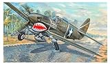 Trumpeter 1/32 P-40F War Hawk