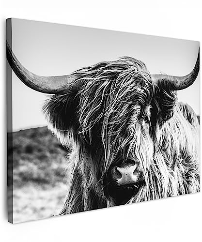 MuchoWow© Bild auf Leinwand 70x50 cm Schlafzimmer Bilder Schwarzweiss Wand Deko Wohnzimmer Modern Wanddeko Geschenk Kuh Leinwand - Schottisches Hochlandrind - Highland Cow Bild - Hörner