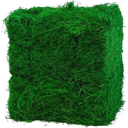 Doubleyou Geovlies & Baustoffe Ostergras grün oder Natur für das Osternest Holzwolle Osterei Deko-Gras (5 kg, grün)