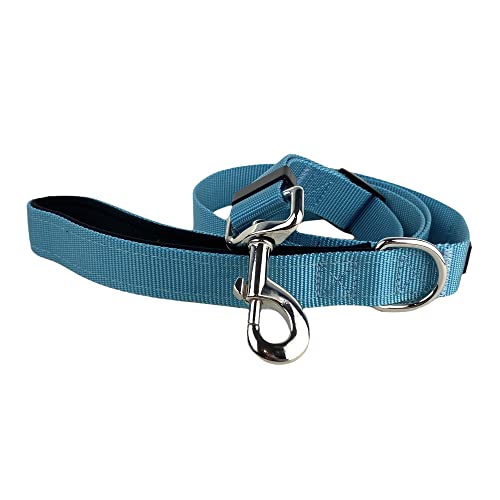 FearLess Pet Hundeleine, gepolstert, verstellbar, Größe L (2,5 cm breit), Blaugrün