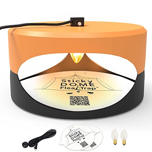 ASPECTEK Flea & Bed Bug Trap with 2 Adhesive Discs Included Odourless, Non-Toxic. Safe for Children and Pets，2 Stück