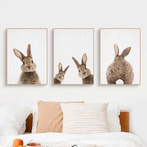 CULASIGN 3er Premium Kaninchen Poster Set, Tiere Hase Bilder Kinderposter Leinwand Wandkunst, Wandbilder Deko für Kinderzimmer Babyzimmer Mädchen Jungen, Ohne Bilderrahmen (50x70cm,MNO)