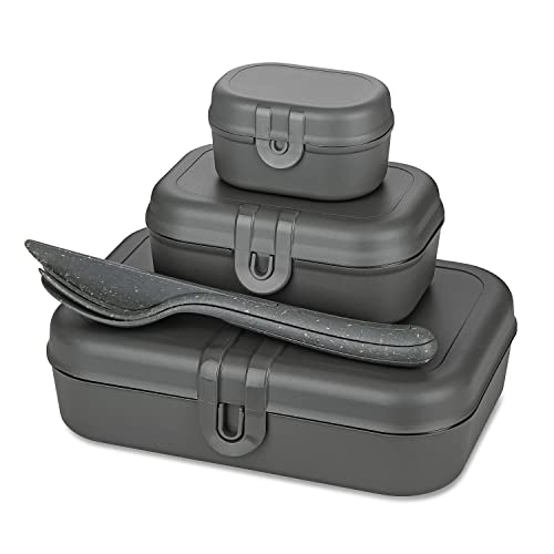 PASCAL READY Lunchbox-Set + Besteck-Set Lunchboxen grau