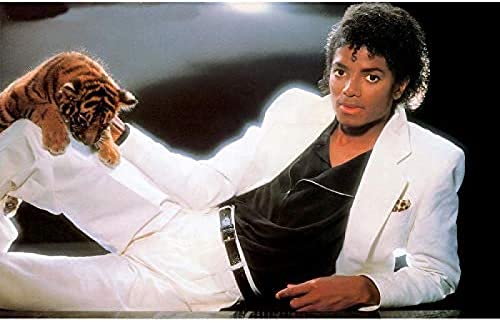 WYWQN Diamantmalerei Superstar Sänger Michael Jackson Kreuzstich Tiger Strass Stickerei Kunststoff Craftsfull Diamond Painting 50x60CM