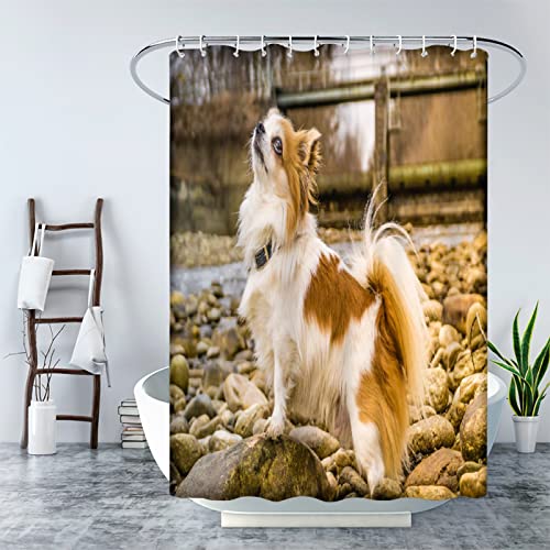 MAQUE Duschvorhang 200x200 Buff Papillon Badvorhang 3D Polyester Anti-Schimmel Wasserdichtmit Duschvorhänge C-Haken für Badezimmer