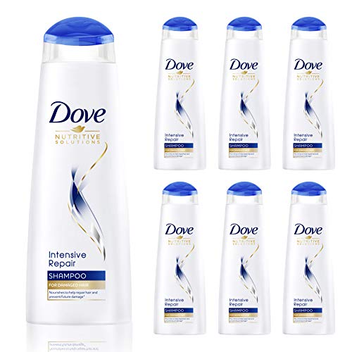 Dove Intensives Repair Shampoo 250 ml für trockenes beschädigtes Haar, Reparatur, Spliss, weich, glänzend und handlich, 6 Flaschen
