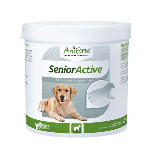 AniForte Senior Active Pulver 250 g für ältere Hunde - Mineralien, Aminosäuren & Vitamine für Hunde, unterstützt Gedächtnis- & Herzfunktion, Grünlippmuschel für Vitalität & Agilität, Senioren Futter