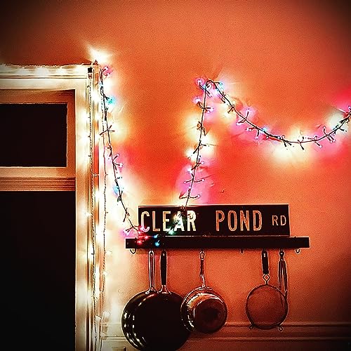 Clear Pond Road (Clear Vinyl) [Vinyl LP]