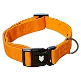 Fenrir RAGNAR Hundehalsband, Gepolstertes Neopren, Atmungsaktives Nylon Haustier Halsband Einstellbar für alle Hunderassen und Größen (Orange, XL)