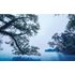 Komar Fototapete Vlies Blue Waters 400 x 250 cm