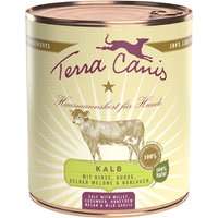 Terra Canis Dose classic Kalb | 6x 800g Hundenassfutter