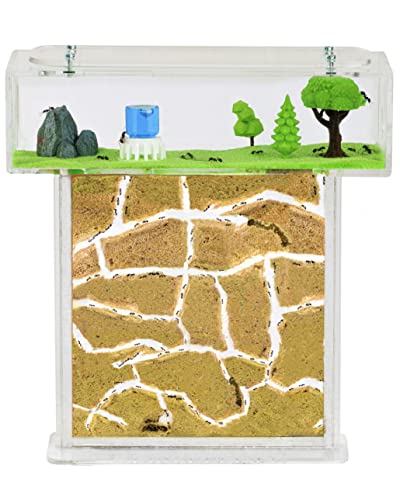 AntHouse - Ameisenfarm aus natürlichem Sand - Acryl T Kit 15x15x1,5 cm (Gratis Ameisen)