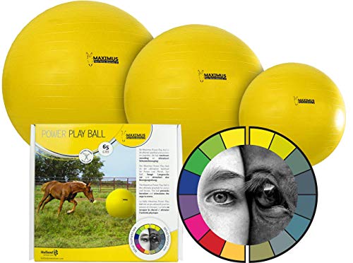 Maximus Robuster Treibball/Spielball für Hunde, Pferde und Ponys - 65cm Gelb