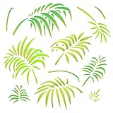 Palmenblätter-Schablone, 35,6 x 35,6 cm (L) – große tropische Palmwedel Wandschablonen für Malvorlage