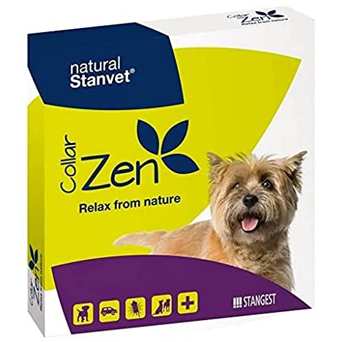 Stangest Zen Hundehalsband 1U, 1er Pack (1 x 200 g)