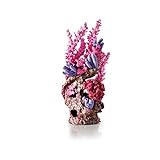 biOrb 46138 Korallenriff Ornament rot – Aquariendekoration in Form einer Koralle zur Gestaltung von bezaubernden Unterwasserwelten in biOrb-Aquarien | für Süßwasser und Meerwasser geeignet
