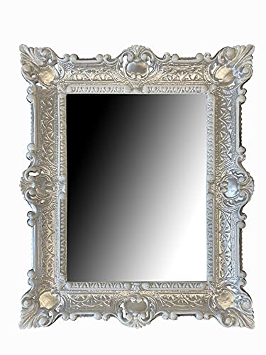 LN Wandspiegel Rahmenspiegel Barockspiegel Spiegel In *Silber_Weiß* Dualcolor 56x46 cm Renaissance Opulenter Prachtvoller Nostalgie Antik Barock Repro Barockstil