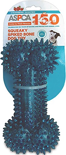 Bow Wow Pet ASPCA Glitschige Spikes Bone Hundespielzeug, blau