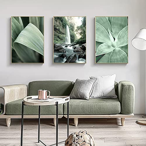 CULASIGN 3er Poster Set Wandbilder, Premium Kunstposter - Natur Pflanzenblatt Eukalyptus- Leinwanddrucke Print Bilder Wandposter Posterset Ohne Rahmen (A,50x70cm)