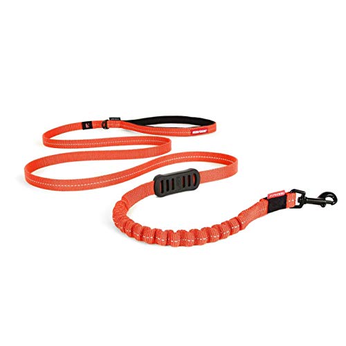 EzyDog Zero Shock Lite Hundeleine für Kleine Hunde - 120cm 180cm - Reflektierende für Maximale Sicherheit - Elastische Leine mit Bungee Ruckdämpfer (180cm, Orange)