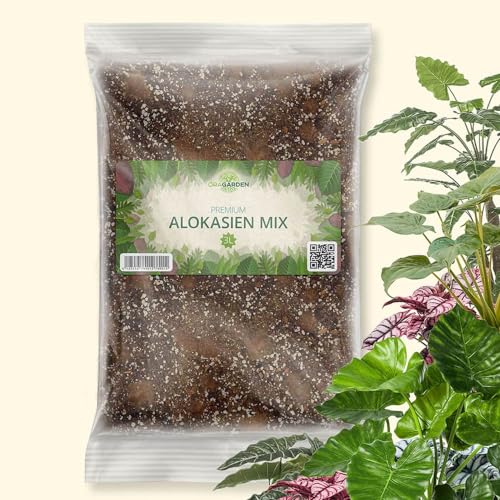 OraGarden Alokasien Alocasia Erde für Zimmerpflanzen - Premium Qualität (3L)
