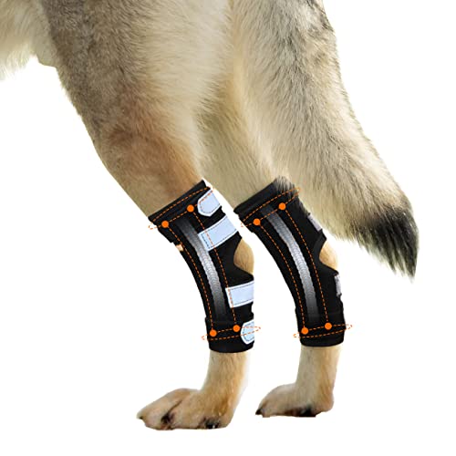 NeoAlly Super Unterstützende Hundehinterbeinstützen Perfektes Kurvendesign Bequeme Passform Zur Unterstützung Der Hinterbeine des Hundes, Helfen Hunden (Paar)(XL)
