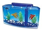 Penn-Plax Deluxe Triple Betta Schleife Aquarium Tank, 0.7-Gallon