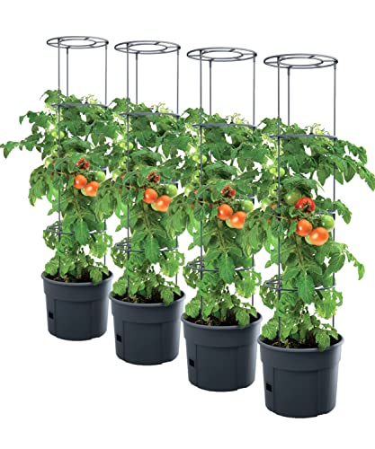 4X Tomatenpflanze Pflanzkübel - 295 x 1152 mm - Tomato Grower Pflanzen Tomate Garten Terrasse