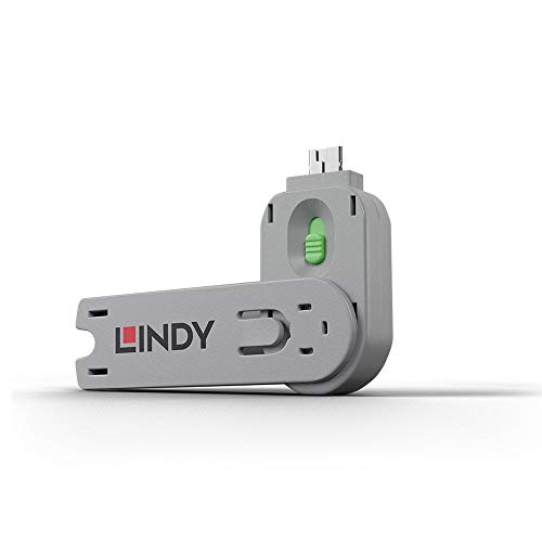 Lindy USB Type A Port Blocker Key - USB-Portblocker - grün