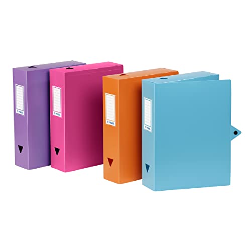 Viquel - 8 Kunststoffboxen - Archivbox mit Druckknopfverschluss - farblich abgestimmte Aufbewahrungsbox - Rücken 6 cm