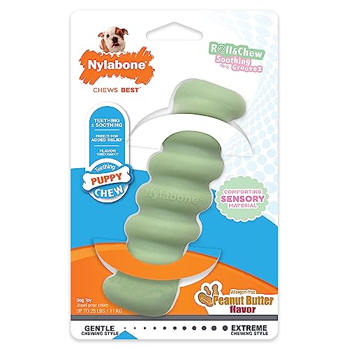 Nylabone Puppy Taktile Toys Stick klein / normal (1 Stück)