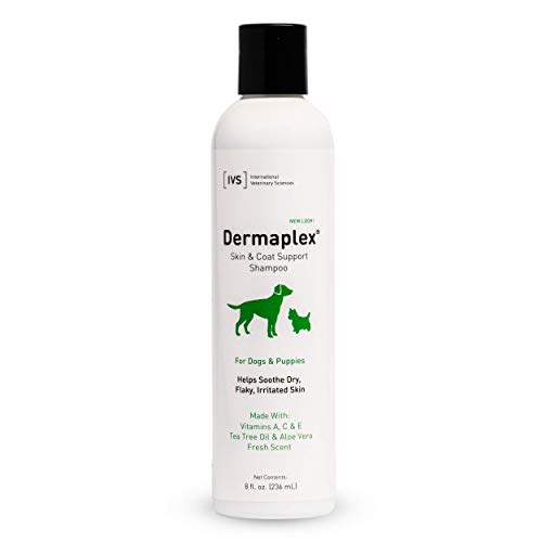 International Veterinary DBP01060 DermaPlex Medizinisches Shampoo