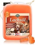 Martenbrown® 3 Liter Norwegisches Premium Lachsöl für Hunde, Pferde und Katzen | Fischöl im Kanister | für Trockenfutter, Dosenfutter oder als Barf-Öl