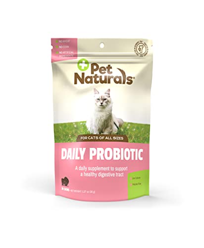 Pet natürlichen 's of Vermont Täglicher Probiotic für Katzen, Verdauungs Nahrungsergänzungsmittel, 30 Bite Soft Chews Spielzeug