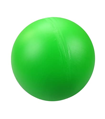 Treibball für Hunde Pferde und Ferkel ungefähr ø 19 cm aus Hartplastik Hundeball Antistreßball (grün)