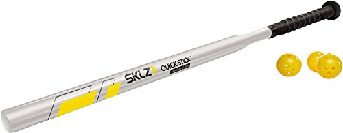 SKLZ Power Stick Baseball und Softball Trainingsschläger für Stärke, Unisex, 0011, Silber, 12-Ounce