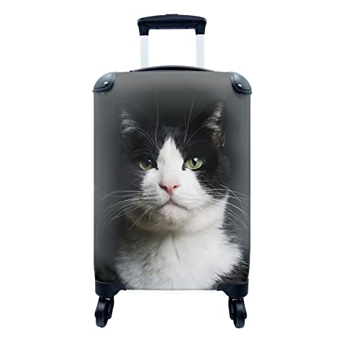 Koffer - 35x55 cm - Katze - Schwarz - Weiß